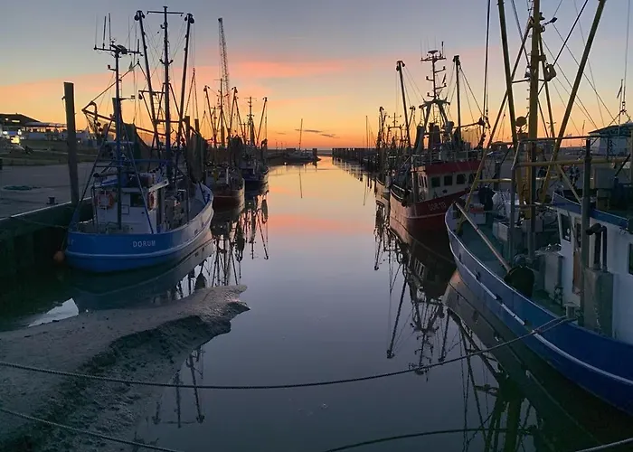 Strandkorb بيت للعطل